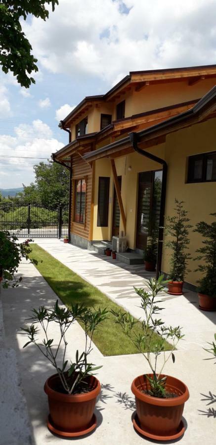 Guest House Ideal ساباريفا بانيا المظهر الخارجي الصورة