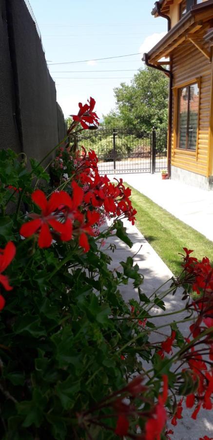 Guest House Ideal ساباريفا بانيا المظهر الخارجي الصورة
